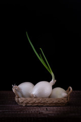 Three onions, one with a beautiful bud, in a wicker basket. Everything on a black and brown background
