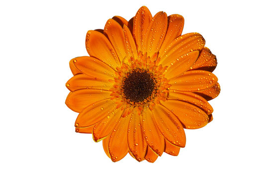 Geb Stock Photos And Royalty Free Images Vectors And Illustrations Adobe Stock