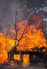 A small old house with square windows and trees in flames in a rural landscape