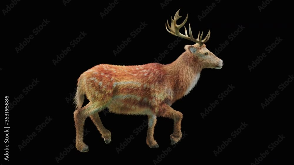 Poster deer run cg fur 3d rendering animal realistic cgi vfx animation loop composition 3d mapping cartoon,