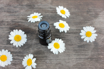 Obraz premium Chamomile essential oil in a small bottle and fresh white daisies flowers on rustic wooden table background. Top view, copy space 