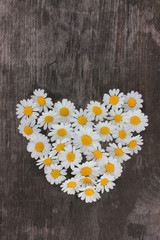 Obraz premium Heart made of white daisies on rustic wooden background. Top view of heart shape chamomile flowers