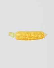 Corn on the cob