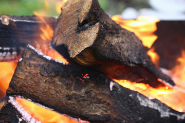 Bright colour of sticks