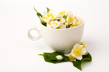Jasmine flowers whith cup of tea on white background. Space for text