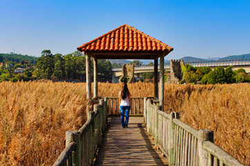 Obraz premium Woman walking under a roof in the middle of a wheat field in Catoira