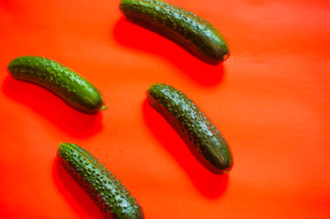 Fresh cucumbers on a bright red background close-up.