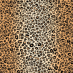 Leopard Print fur pattern illustrations