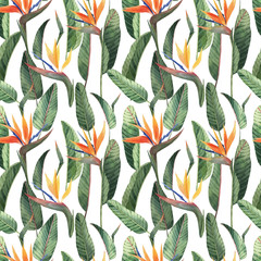 Pattern with beautiful watercolor tropical flowers and leaves. Tropics. Realistic tropical leaves. Tropical flowers. - 353202828