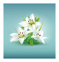 Vector photo realistic illustration of white lily. Tree beautiful white flowers and green leaves. Editable EPS vector