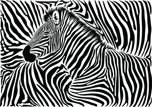 Background with a zebra motif