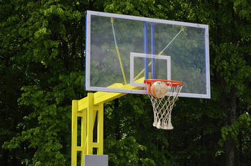 football in the basketball ring scored a goal against the background of green trees in the park