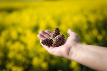 hand holding cones on yellow background