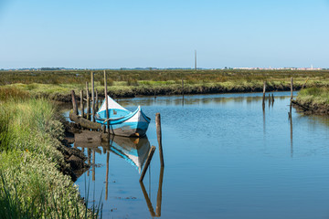 Aveiro Lagoon during the day, with colorful small boat called bateira, docked close to the shore....