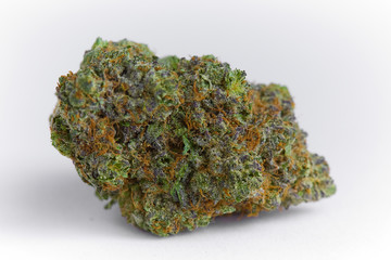 close up macro photo of high quality greenhouse grown medical and and recreational marijuana indica strain marijuana bud isolated on white background