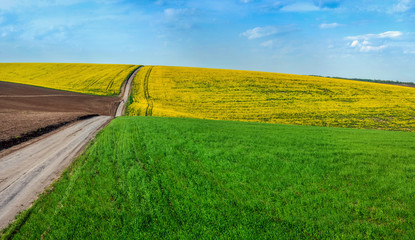 Fototapeta na wymiar Color lines of arable land and rapeflowerfield and green wheat landscape panoramic