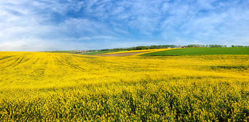 Great panoramic view of waves Rape Field