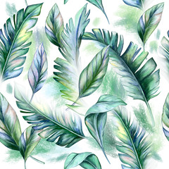 Tropical leaves seamless pattern isolated on a white background. Jungle botanical watercolor illustrations, floral elements, a set of banana palms, green leaves. Watercolor. Illustration. Template.