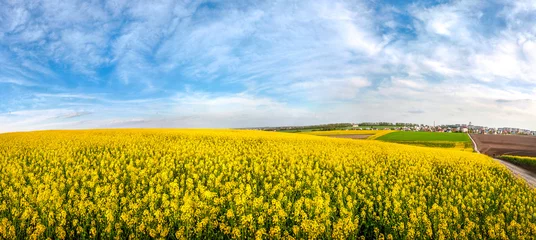 Draagtas Wonderful panoramic view of the rapeseed field from above, and the city on the horizon © pavlobaliukh