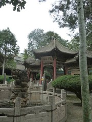 a chinese garden in shangai