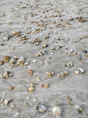 pebbles on the beach
