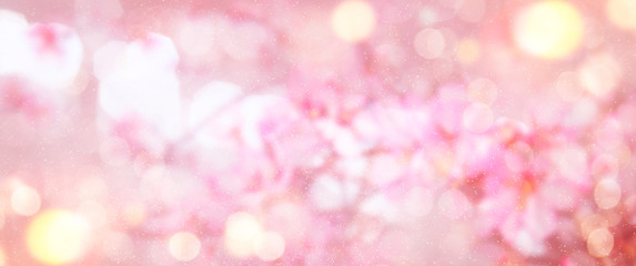 Spring Bokeh light background.  Holiday glowing backdrop. Defocused Background
