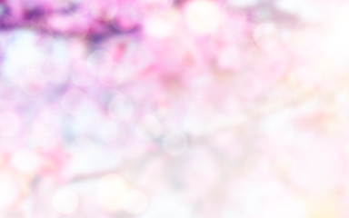 Spring Bokeh light background.  Holiday glowing backdrop. Defocused Background