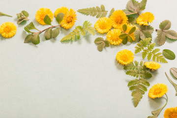 Obraz premium spring yellow flowers on paper background