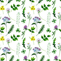 Wild healing herbs on a white background. Seamless pattern design for wallpaper, paper, textile.