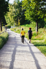 Fototapeta premium Rentner beim Sport im Sonnenuntergang / Walking