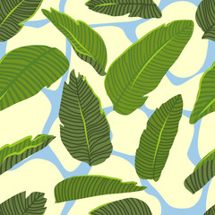 Seamless abstract pattern with different shapes and beautiful tropical leaves of the Dieffenbachia plant. Vector illustration