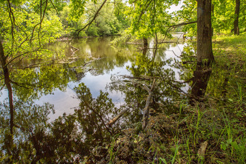 spring floods, spilled forest lake