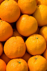 Obraz na płótnie Canvas Sicilian oranges