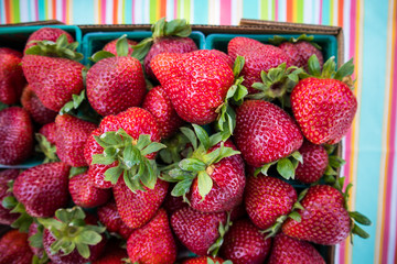 Fresh red strawberries
