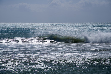 Fototapeta premium Wildlife Oasis of Vendicari