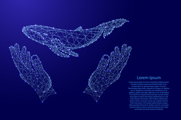 Whale floating and two holding, protecting hands from futuristic polygonal blue lines and glowing stars for banner, poster, greeting card. Vector illustration.