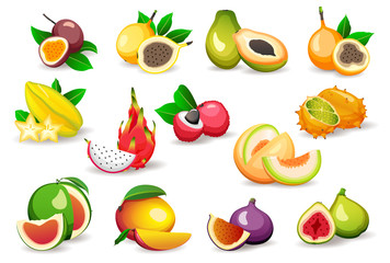 Set of various exotic fruits isolated on white background, flat style vector illustrations. Vegetarian food