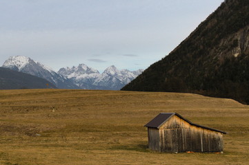 Alpejski widoczek © Robert
