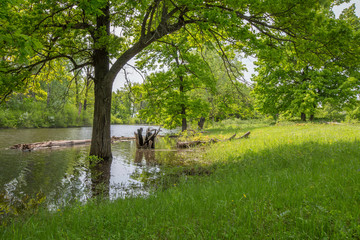 spring floods, spilled forest lake