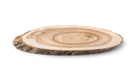 Tree trunk cross section