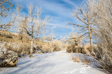 View of Altay mountains