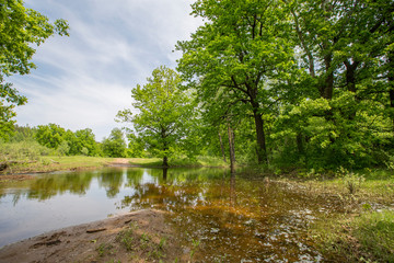 Fototapeta na wymiar spring floods, spilled forest lake