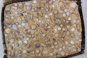 A concrete wall with shells texture, background. Plaster wall. The shells in the cement. Side frame