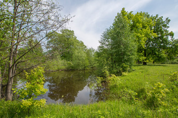 spring floods, spilled forest lake