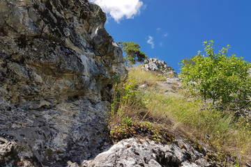 Scenery landscape with green forest and high rocky mountain under blue sky. nature