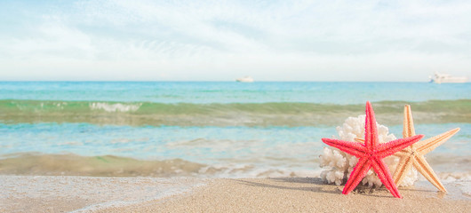 Fototapeta na wymiar sea shells on tropical sand turquoise sea, summer vacation travel concept