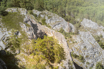 Idyllic landscape with high rocky mountains in Russia, green grass and tree forest under blue sky. bright sun ray