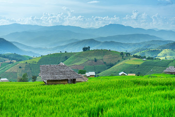 Pa Bong Piang Rice Terraces in Mae Chaem, Chiang Mai, Thailand.