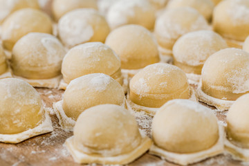 Fototapeta na wymiar fresh dumplings ready for cooking.