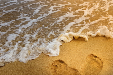 natural background. footprints on the yellow sand to the right. beach holiday. summer season, daytime. warm sunlight falls on the coast with a wave